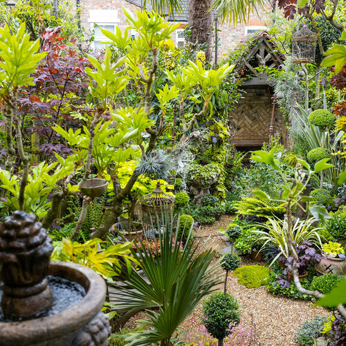 small garden full of a lot of plants