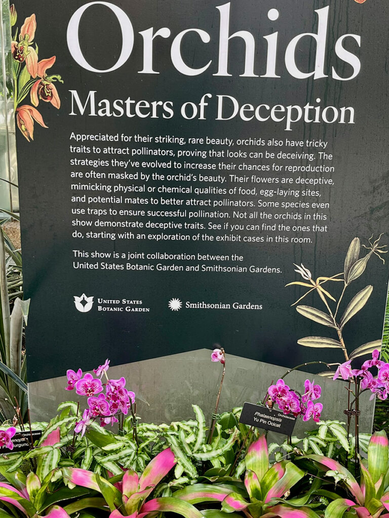 GPOD on the Road: United States Botanic Garden in D.C. - Fine Gardening