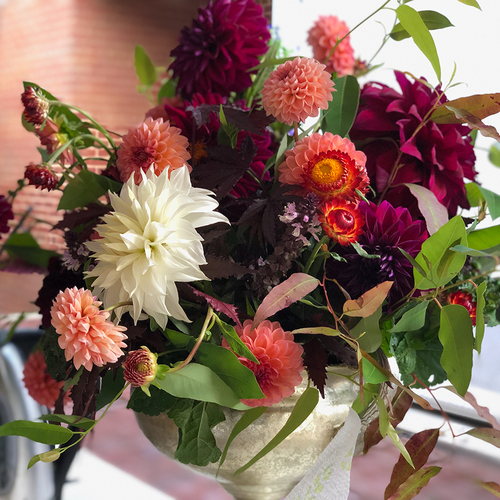 bouquet of pink and red dahlias