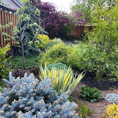backyard garden with lots of colorful foliage plants