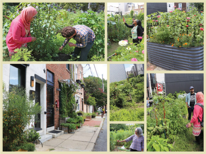 Collage of community gardens