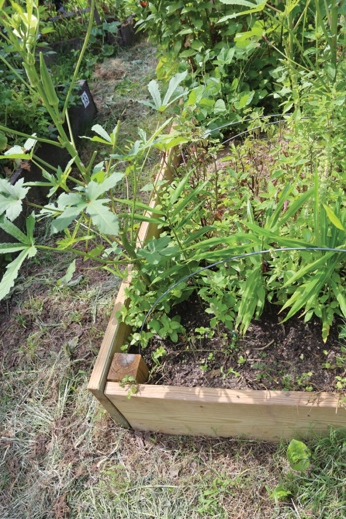 Wooden raised garden bed