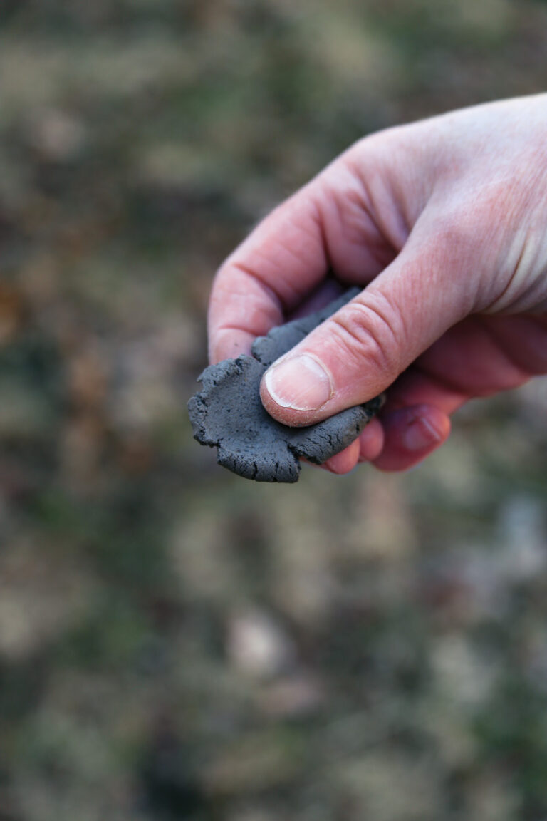 Get to Know Your Clay Soil - Fine Gardening