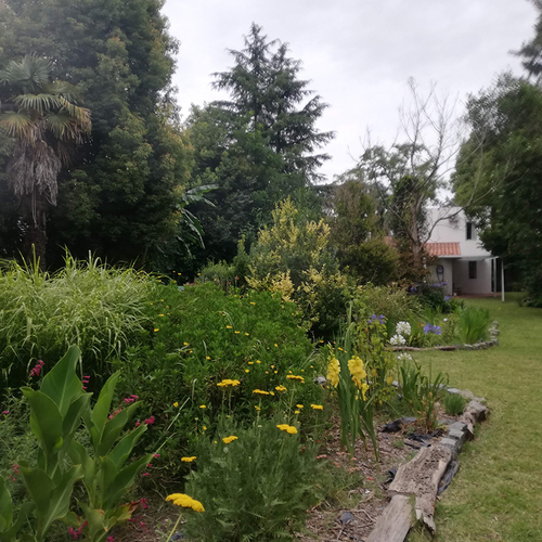 cottage style garden in south america