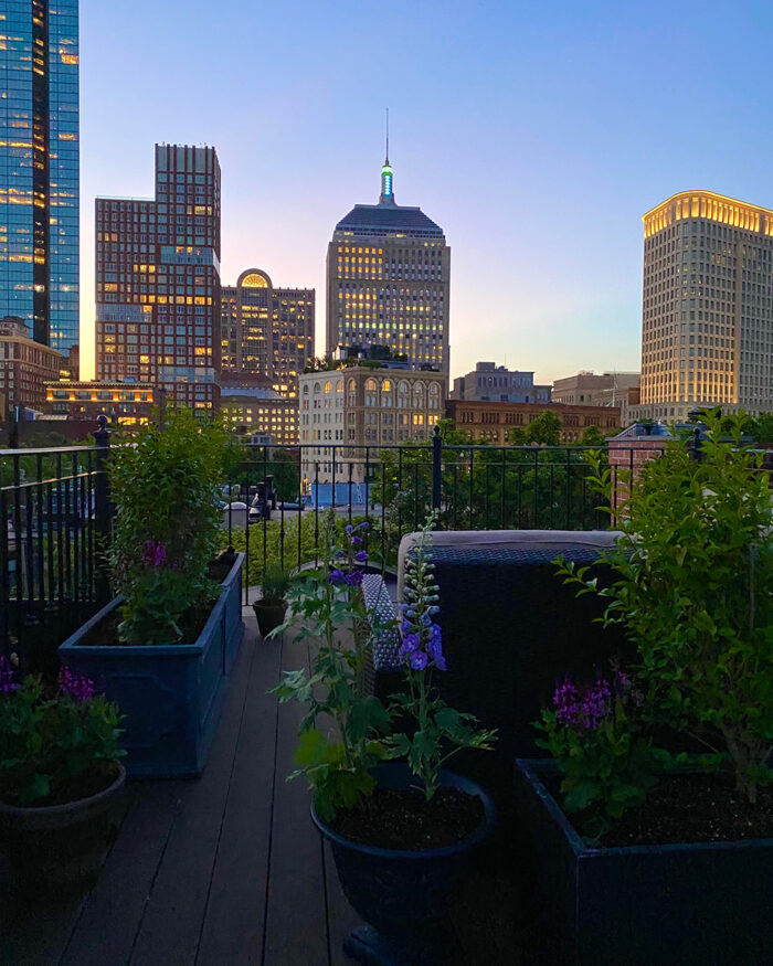 rooftop city garden at night