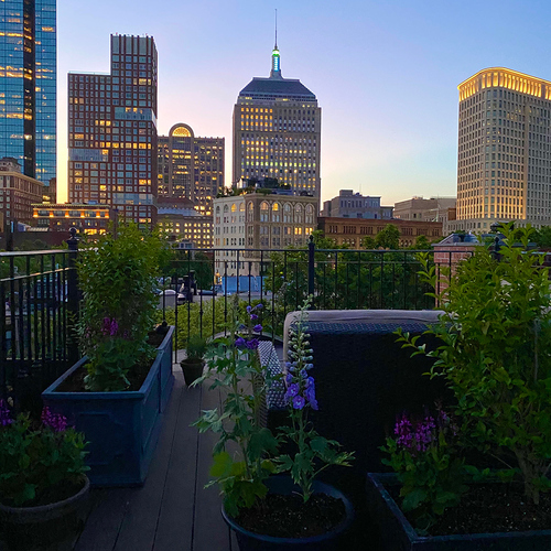 rooftop city garden at night