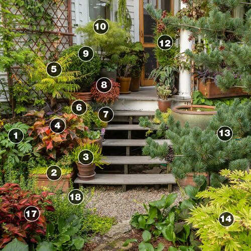 small space garden plan with container plantings