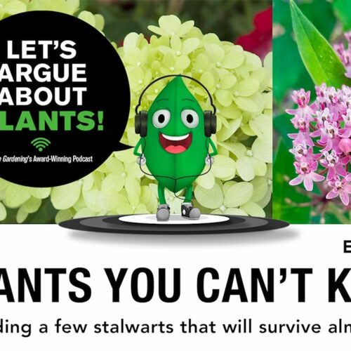 Episode 181: Plants you can't kill