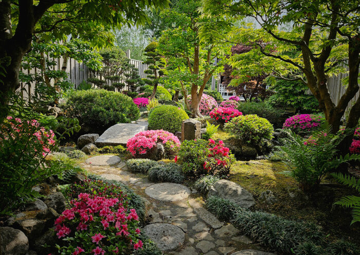 Japanese style garden with lots of pink flowers