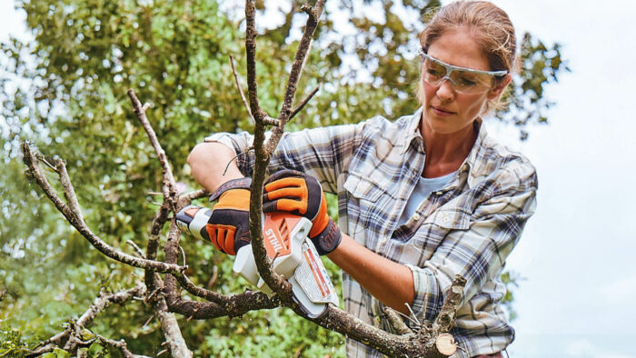 cordless mini chainsaw