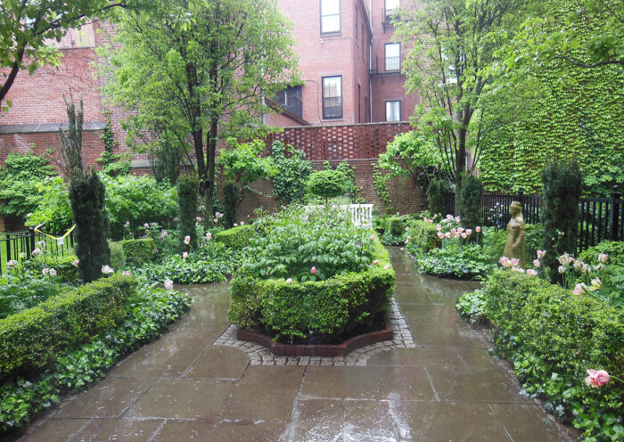 small courtyard garden with formal hedges