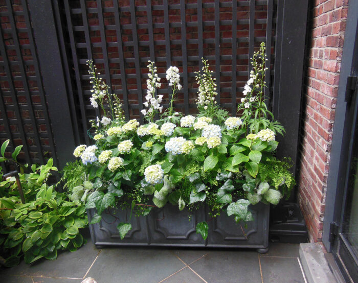 trough container with white flowers