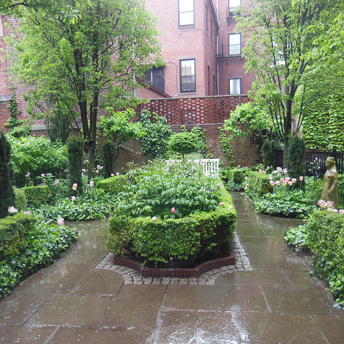 small courtyard garden with formal hedges