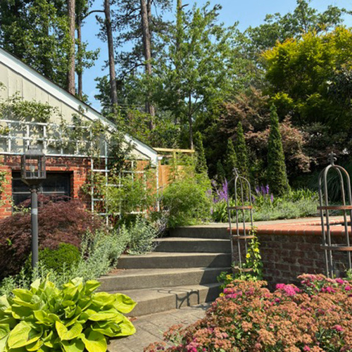 pool garden