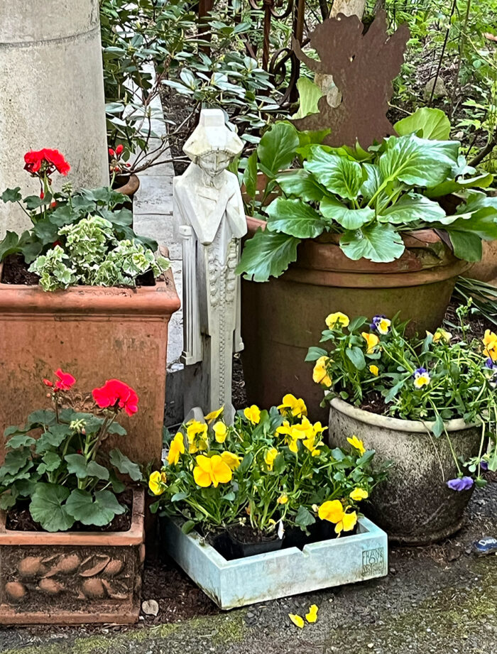 close up of colorful annuals in containers