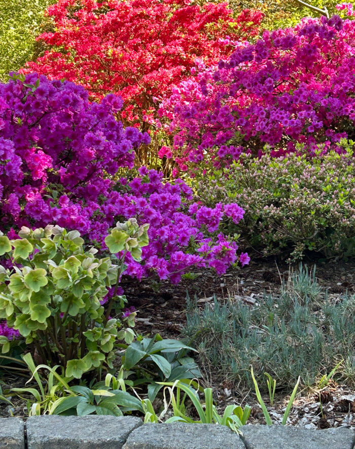 brightly colored flowers in layers