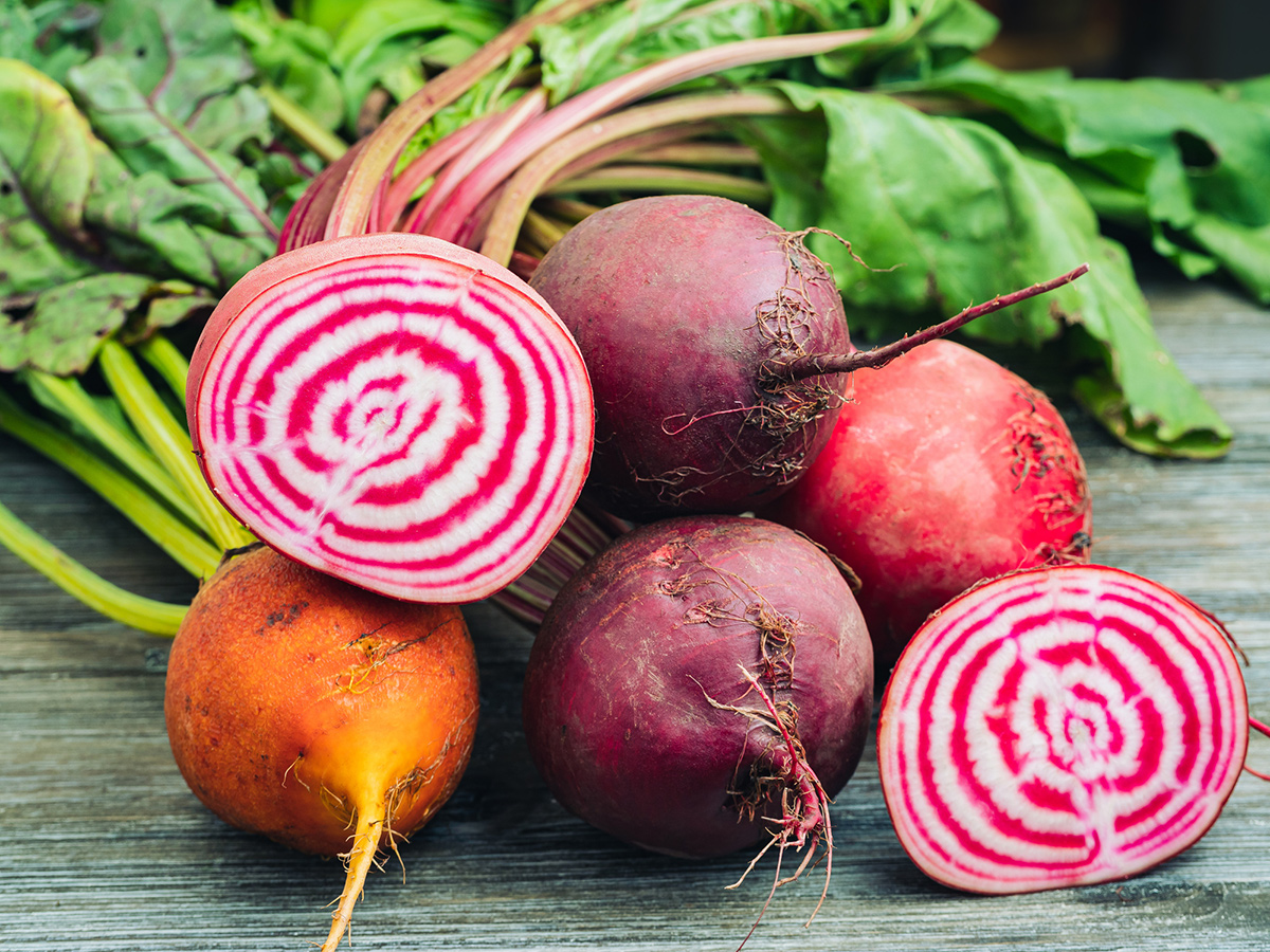 Chioggia beets