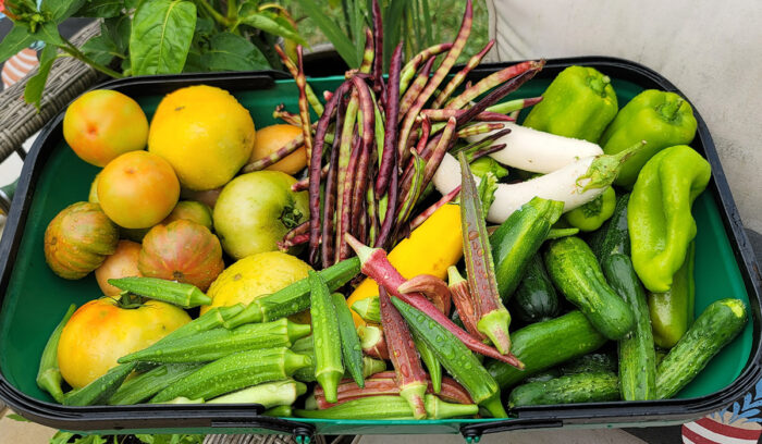 basket full of colorful vegetables