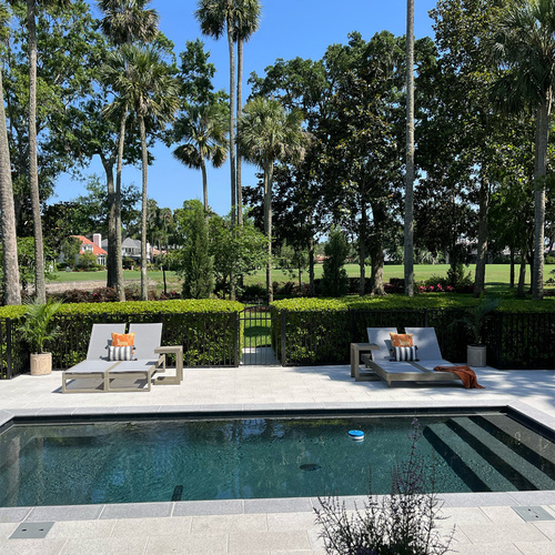 trees and shrub around in-ground pool