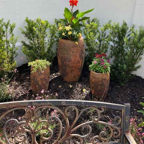 trio of tall containers with tropical plants