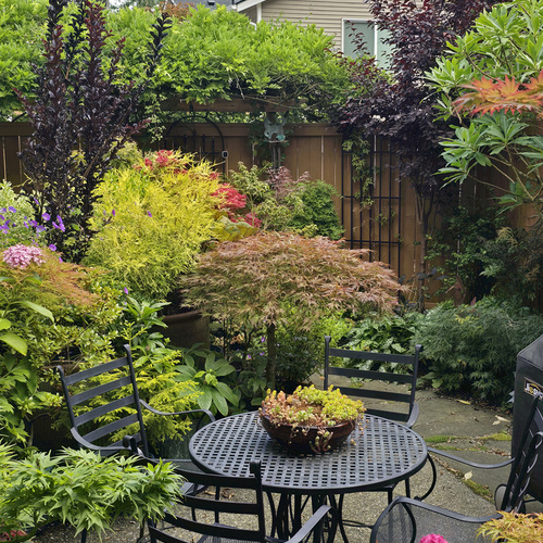Landscaping Small Backyard Furniture Ideas Jen's Washington Garden