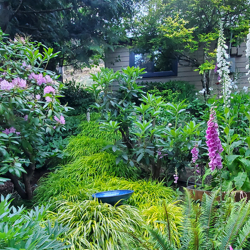 GPOD-Sanders-5-chartreuse-