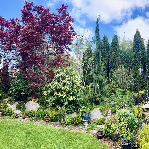 Kirk's Washington Garden in Panoramas - Fine Gardening