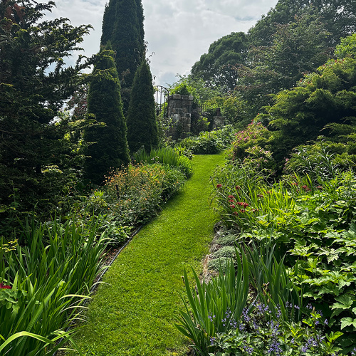 grass pathway through sunny garden