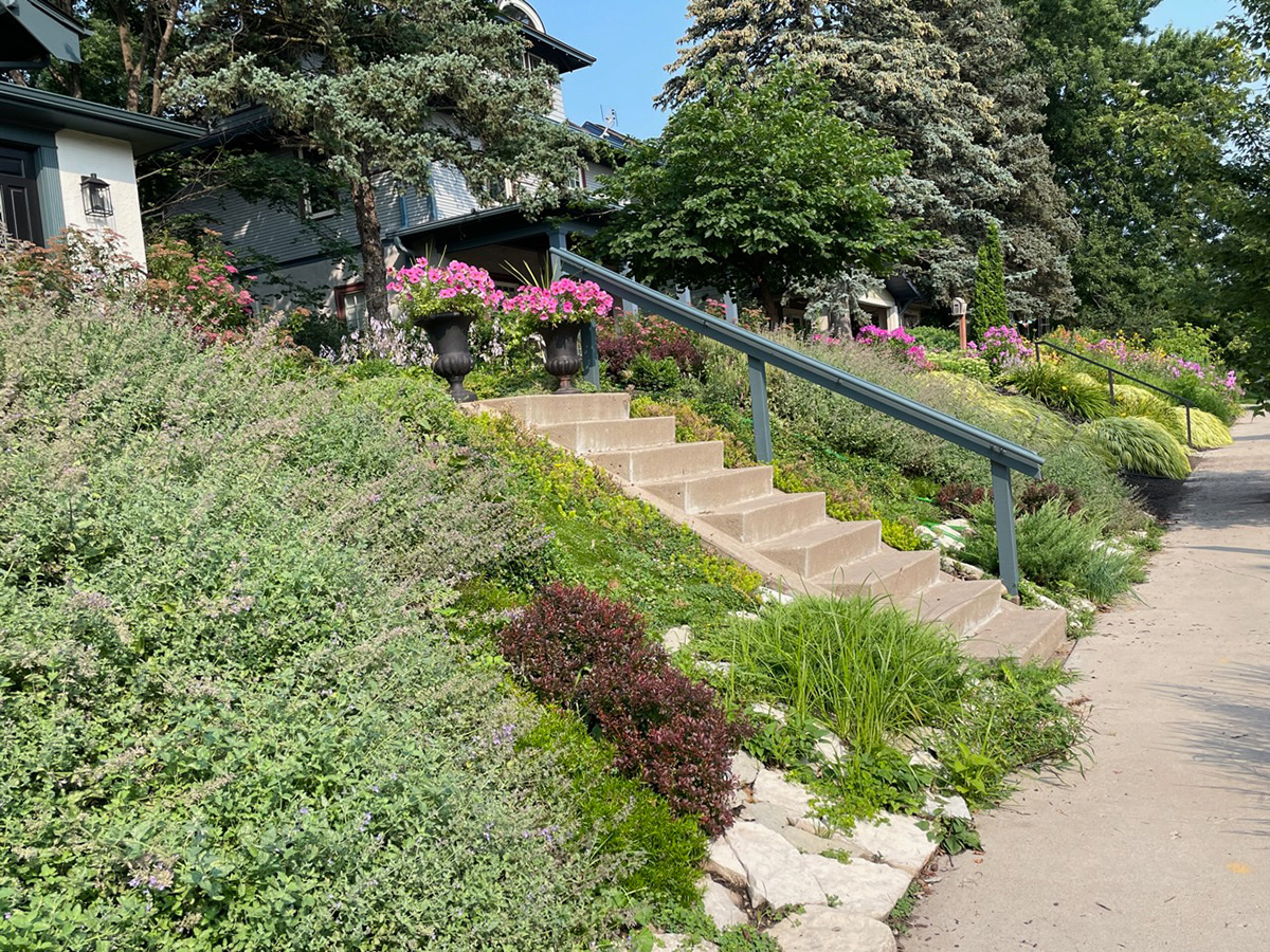 sloped front garden