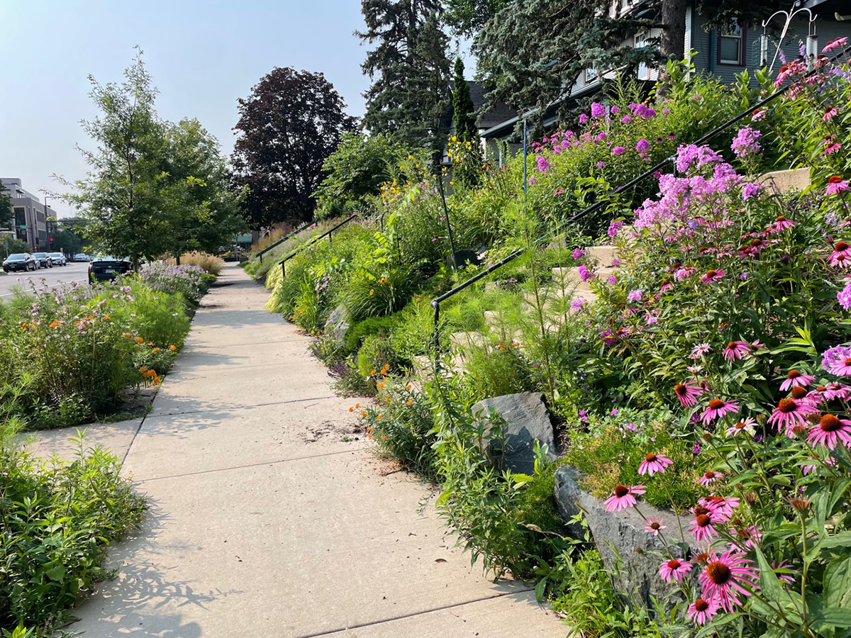 sloped front yard gardens with lots of flowers