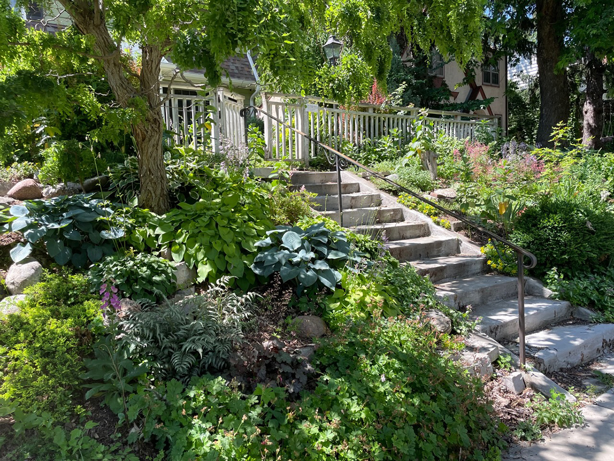 sloped front yard garden in the shade