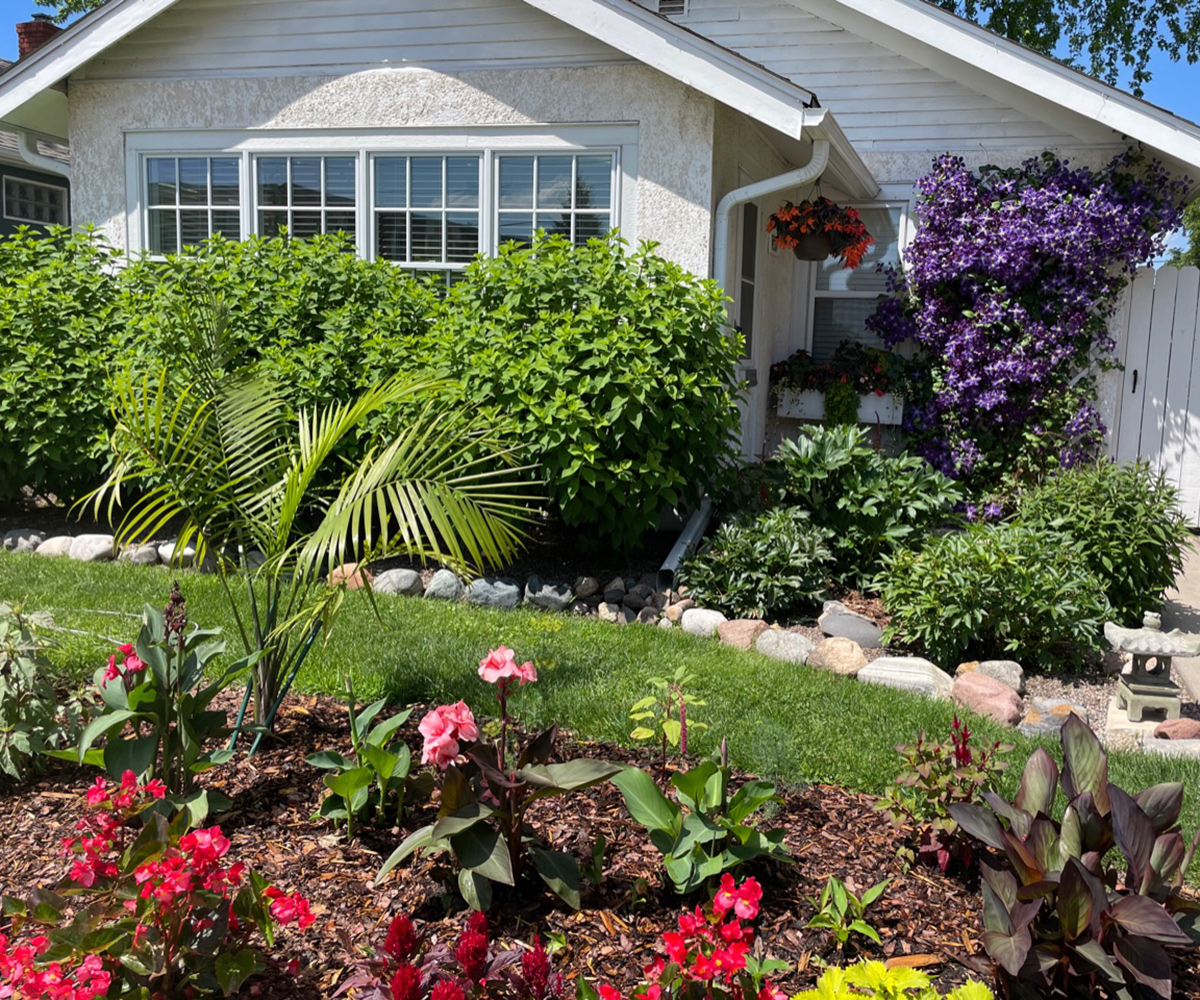 front yard garden with vibrant flowers