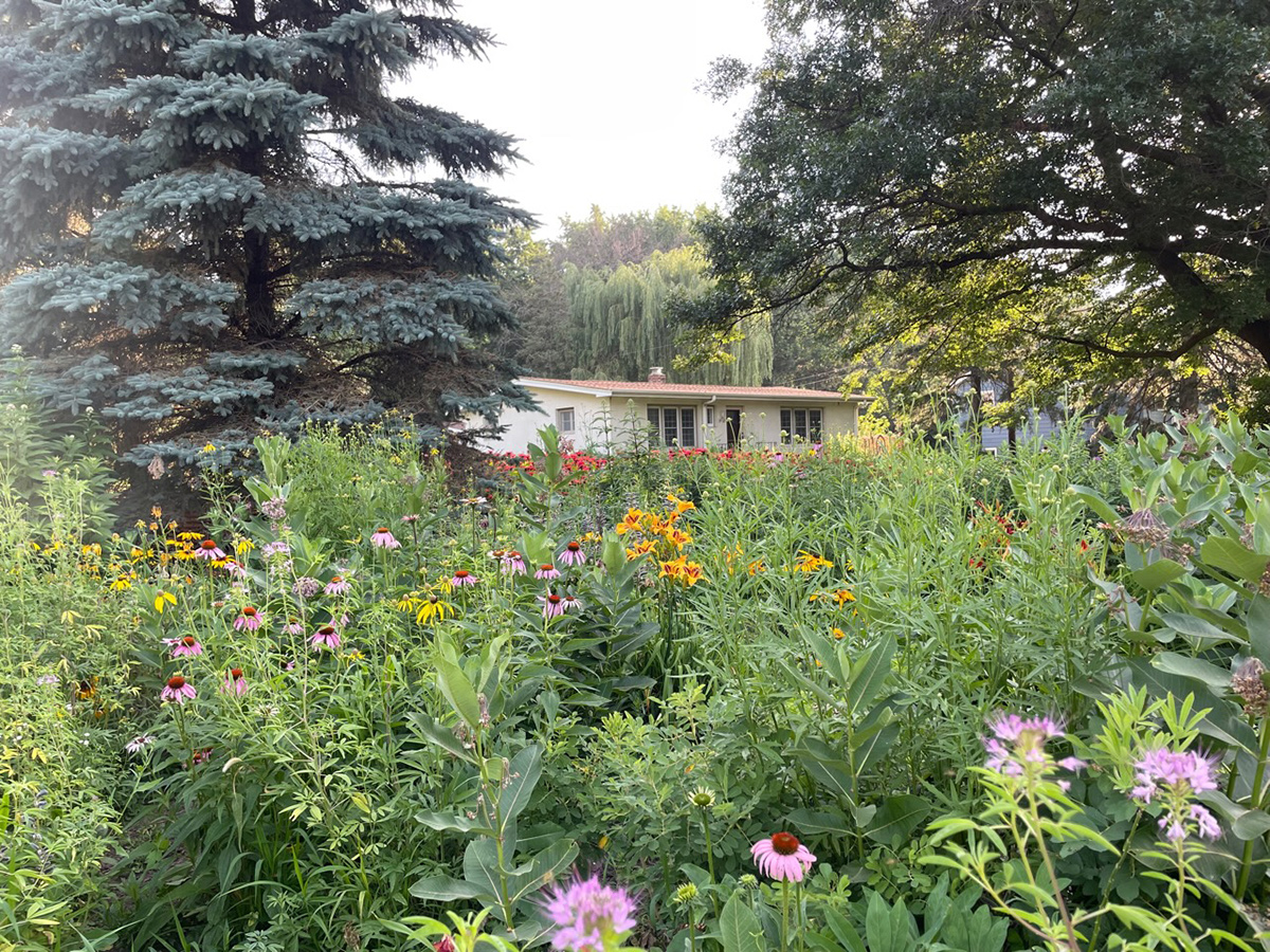front yard pollinator garden