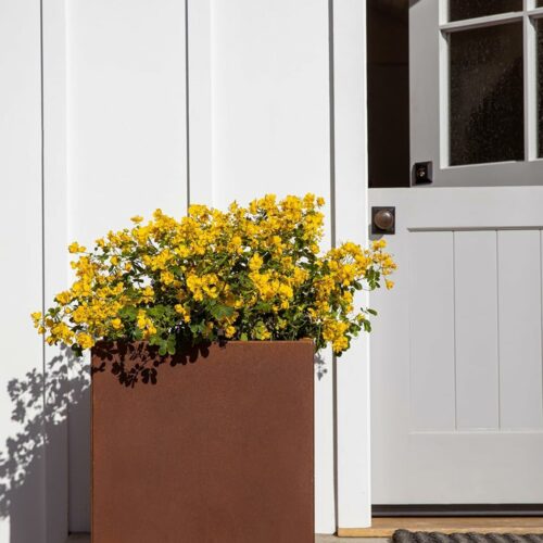 Ginny's Gardening Adapting to Shade - Fine Gardening