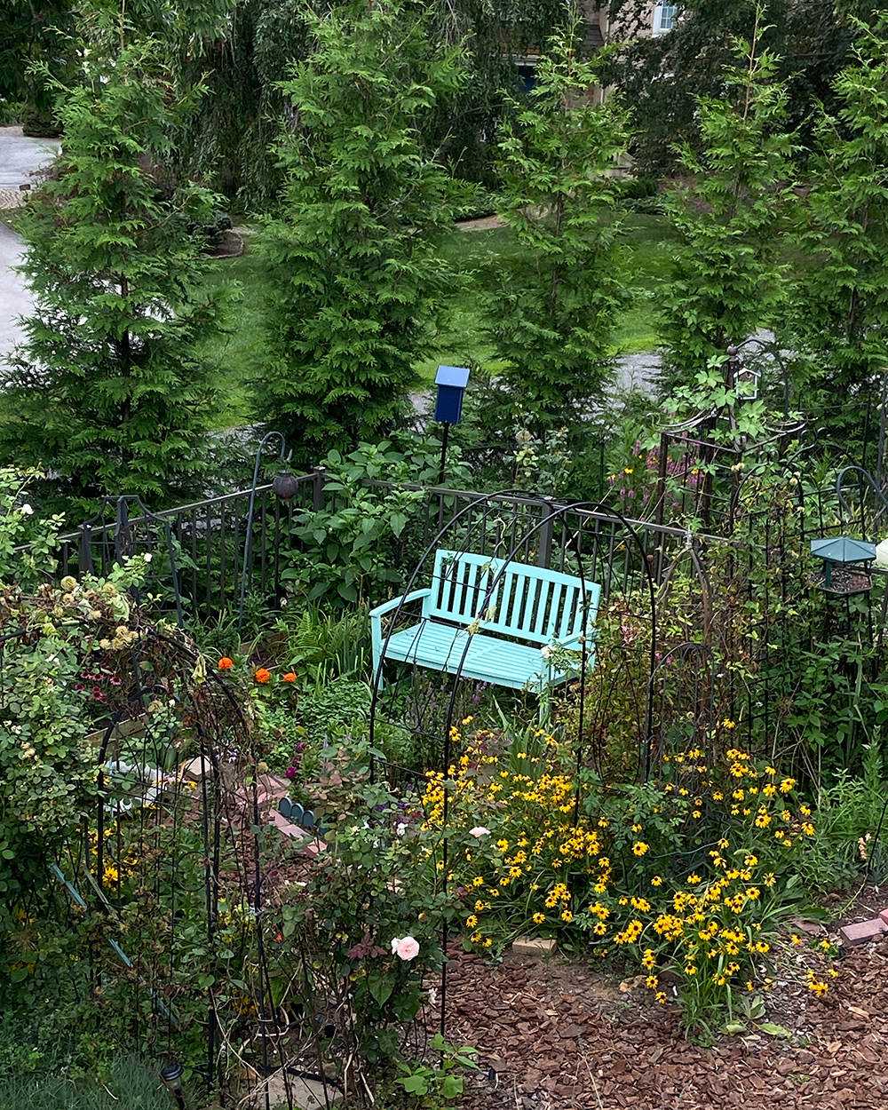 blue bench in summer garden
