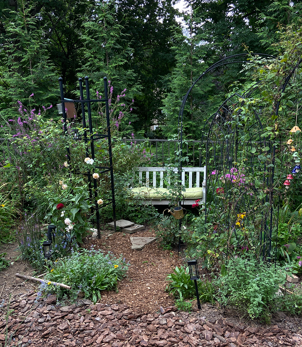 garden bench surrounded by plants