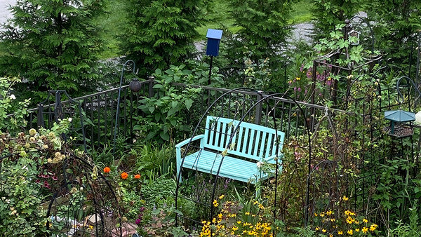 GPOD-Lenahan-5-garden-from-