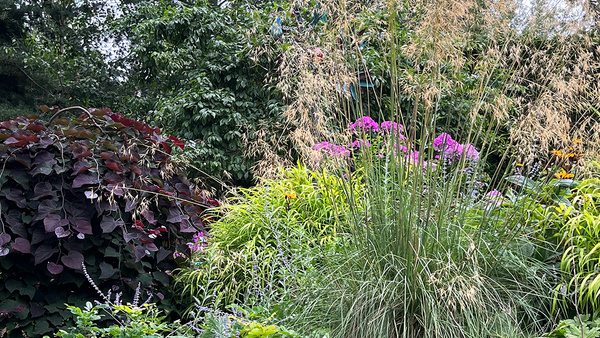 Jeanne's Midsummer Garden in Washington - Fine Gardening