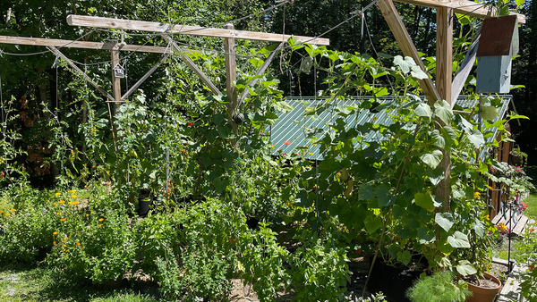 Mark's Vermont Veggie Garden Is Growing Up - Fine Gardening