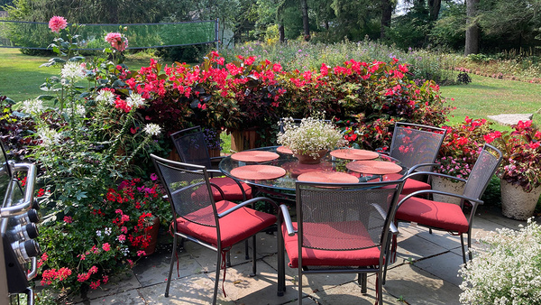 September in Heidi's Connecticut Garden - Fine Gardening