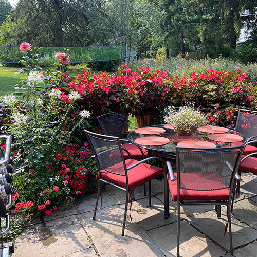 September in Heidi's Connecticut Garden - Fine Gardening