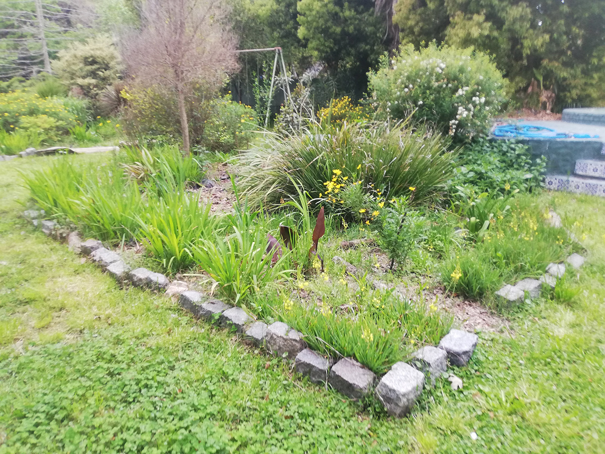 garden bed starting to come into bloom in early spring