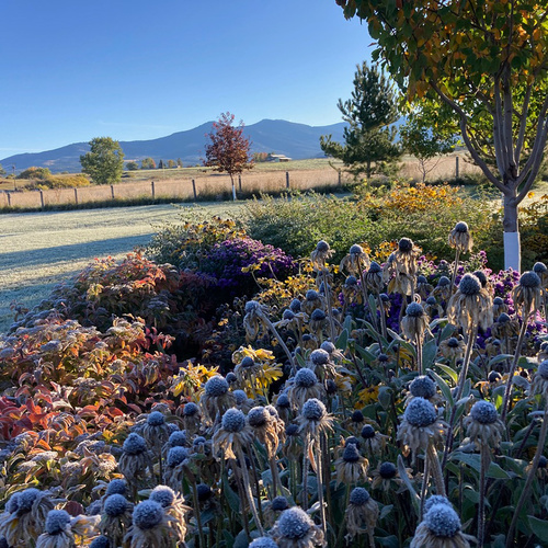 GPOD-Hessert-4-garden-after-