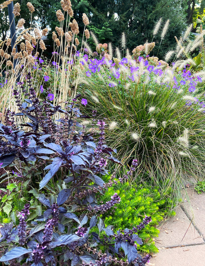 Lizzi's Fall Garden in Walla Walla - Fine Gardening
