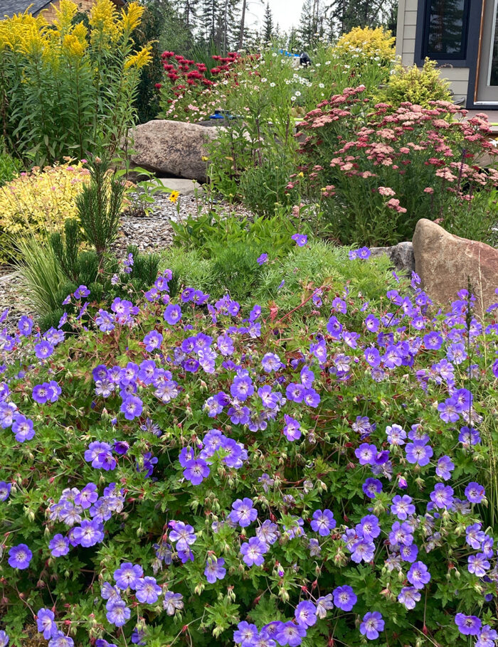 Fall in Joan's BC Garden, Part 2 - Fine Gardening