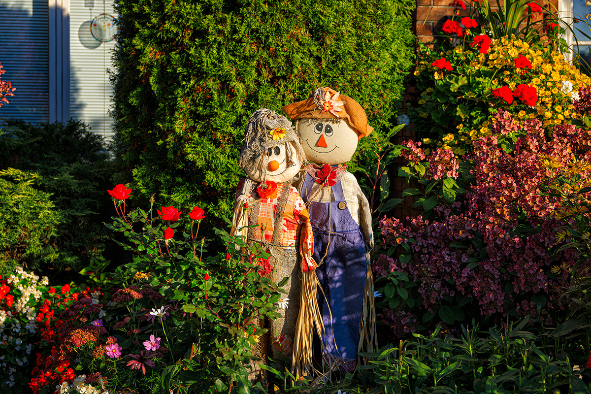 scarecrows in garden