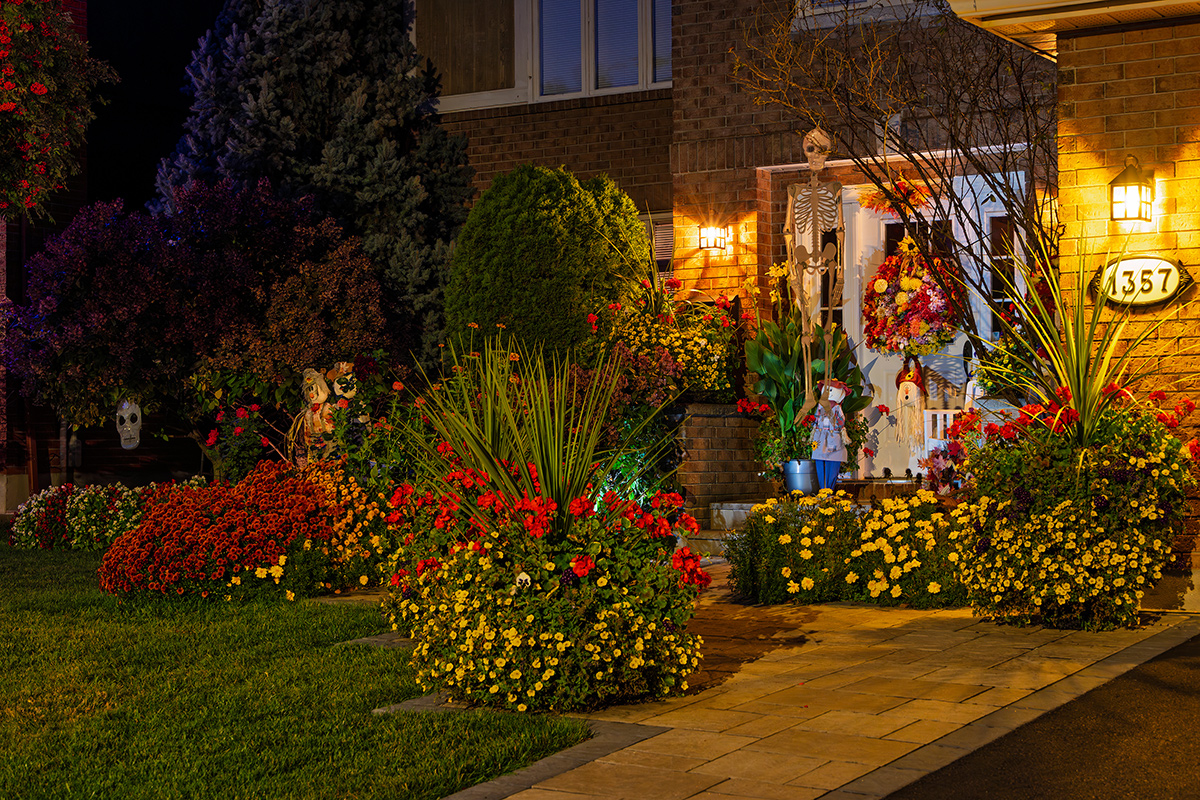 front entry garden illuminated at night