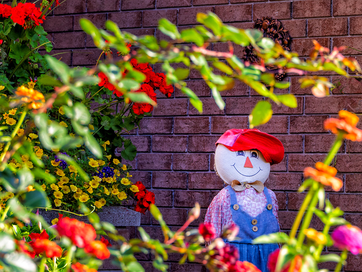 scarecrow decoration in background of garden