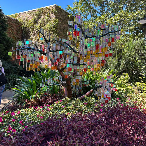 GPOD on the Road: Patricia's Trip to Atlanta Botanical Garden
