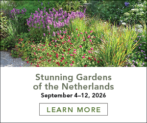 Netherlands Garden Tour September 4-12, 2026